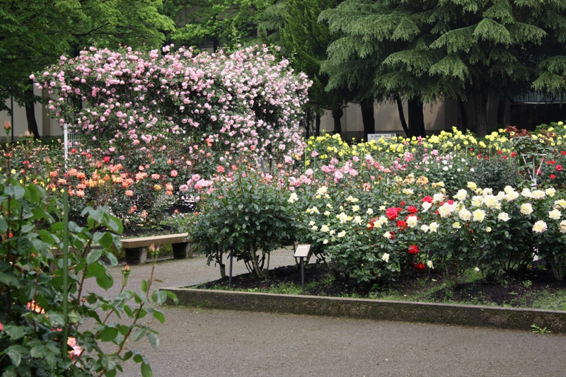 e0123322_19312257.jpg