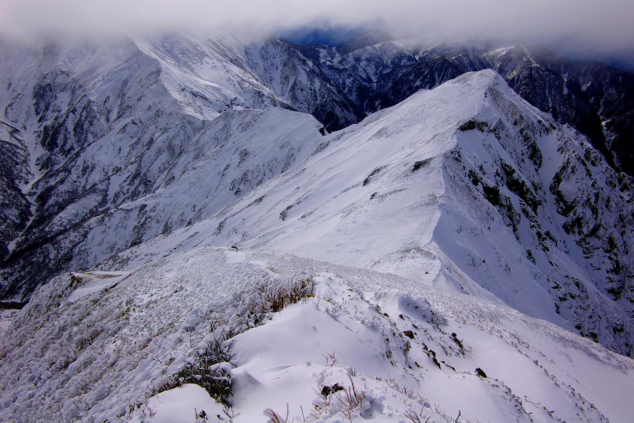 b0062024_984777.jpg