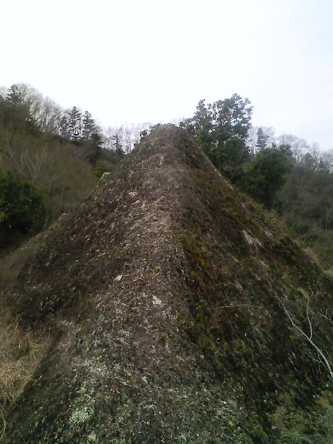 b0184725_223850100.jpg