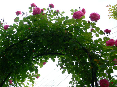 f0061334_22165148.jpg