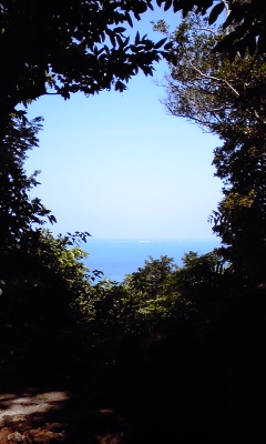 a0167335_14141353.jpg