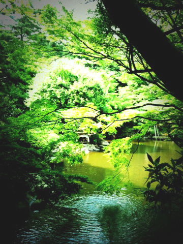 c0152037_1102399.jpg