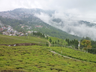 a0152839_3213576.jpg