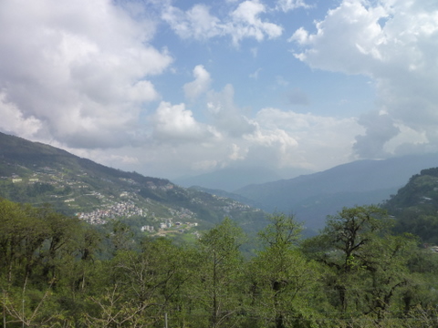 a0152839_3544366.jpg