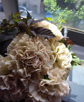 f0202442_2213289.jpg