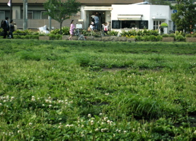 a0056943_1054743.jpg