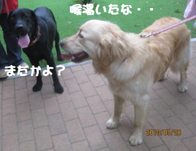 e0121548_21543062.jpg