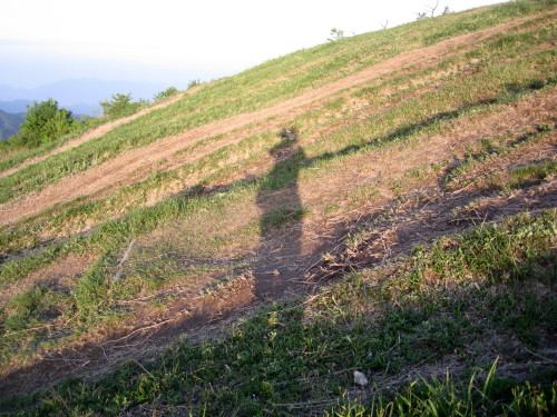 c0179351_20291382.jpg
