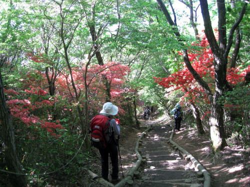c0179351_20344772.jpg