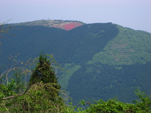 c0179351_20475876.jpg
