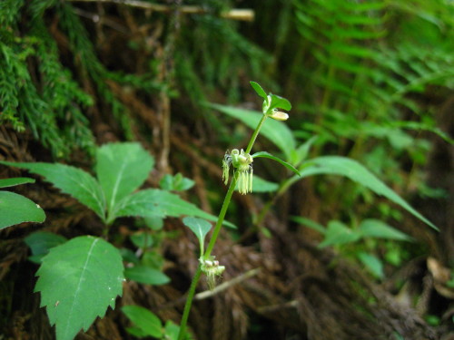 c0179351_2054236.jpg