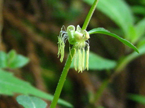 c0179351_20544752.jpg