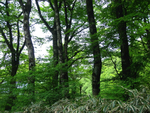 c0179351_2161371.jpg