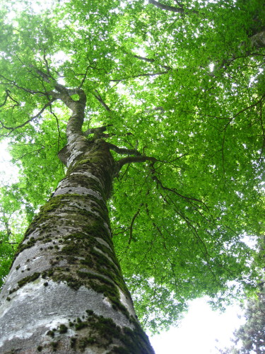 c0179351_217183.jpg