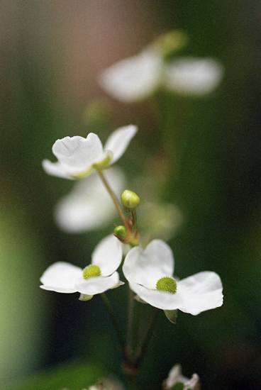 f0176353_2348502.jpg