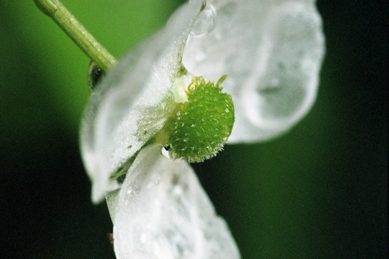 f0176353_23491655.jpg