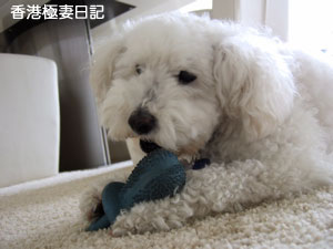 f0190653_9201012.jpg