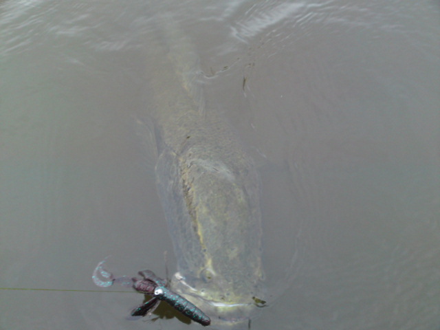 e0133656_84891.jpg