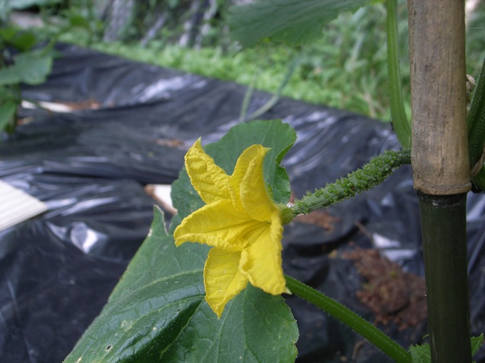 f0201157_22282972.jpg