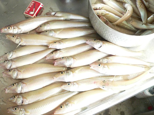 f0201157_2237850.jpg