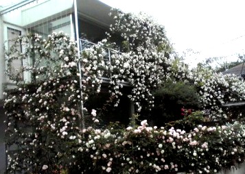 b0134673_22412280.jpg