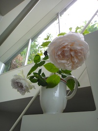 d0041074_2173437.jpg