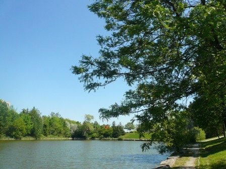 a0100975_12291345.jpg