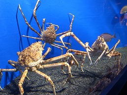f0030875_23555087.jpg
