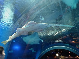 f0030875_2355589.jpg