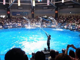 f0030875_23565559.jpg