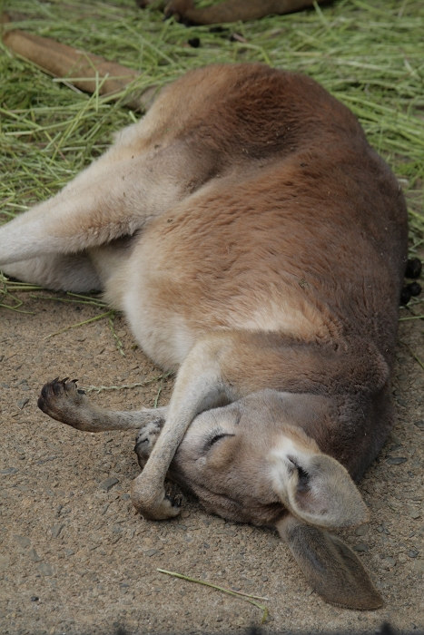 f0115475_2018993.jpg