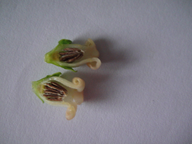 f0137275_4165354.jpg