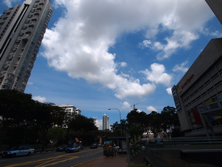 a0002177_2231177.jpg