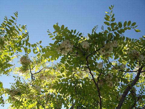 c0045882_21465120.jpg