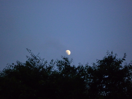 f0221382_22401236.jpg