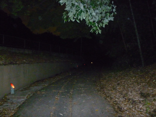 f0221382_22532332.jpg