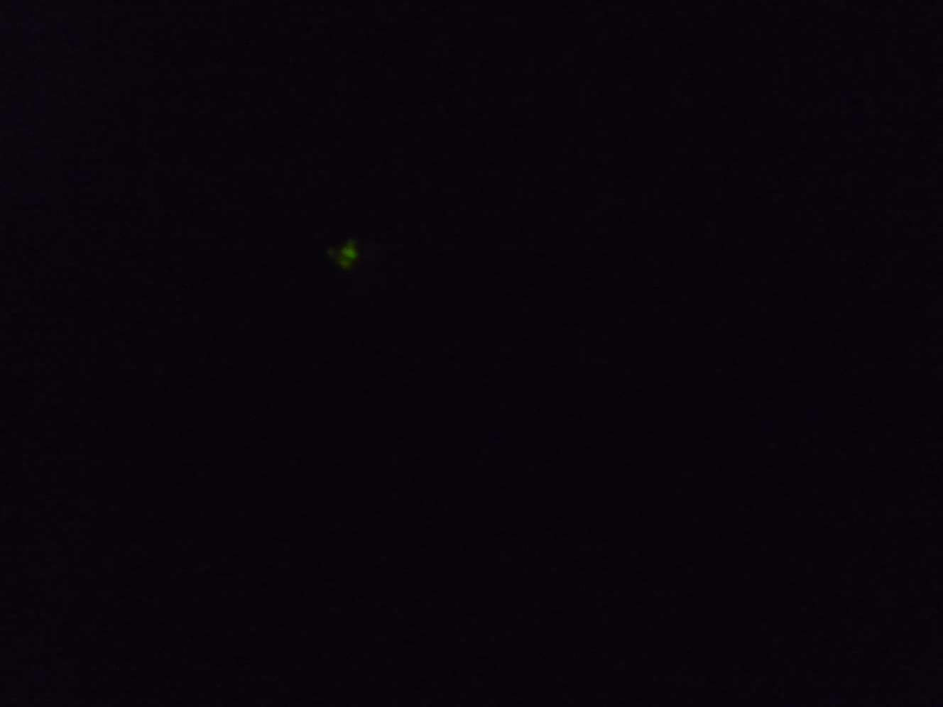 f0221382_2255158.jpg