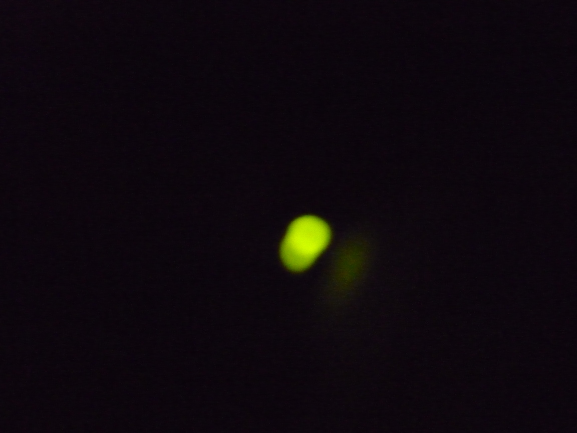 f0221382_22565589.jpg