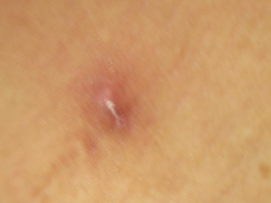 a0127885_1154984.jpg