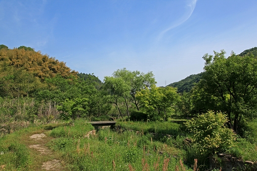 e0190885_17103512.jpg