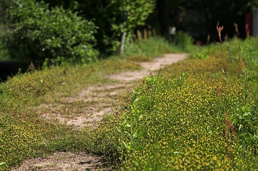 e0190885_17104181.jpg
