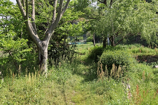 e0190885_1794749.jpg