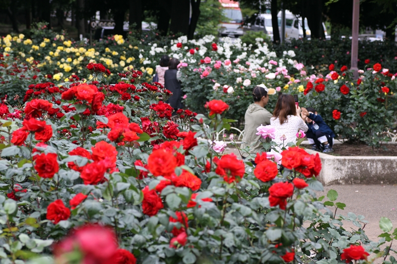 d0130286_22281866.jpg
