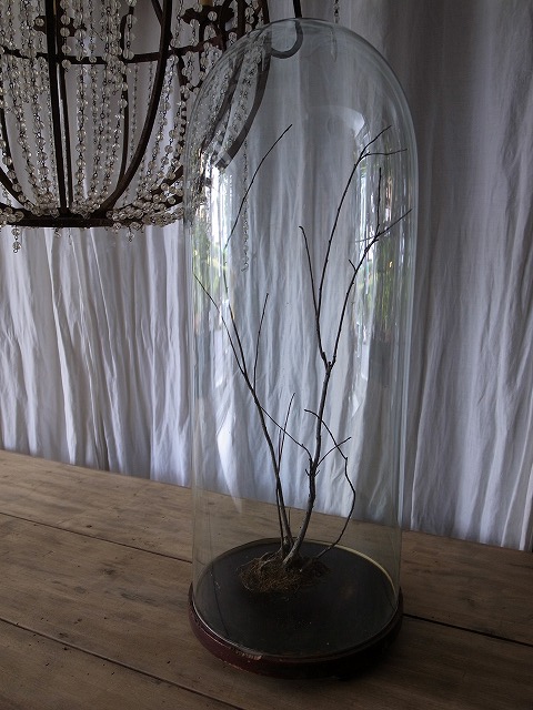 c0143989_19544027.jpg