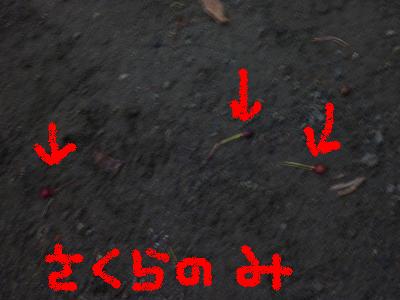 c0123890_18581621.jpg