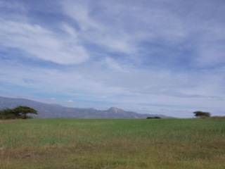 a0137192_23502293.jpg