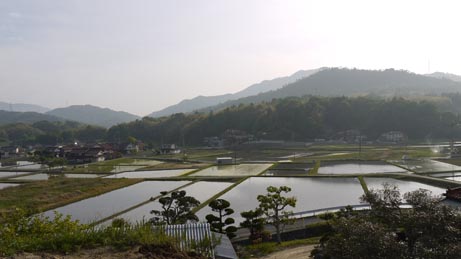 f0222692_1353815.jpg