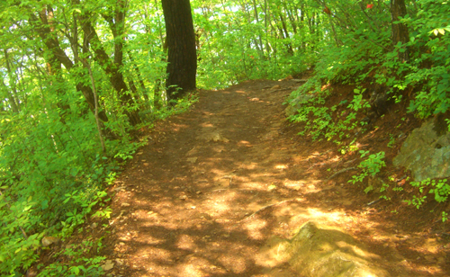 b0099994_8403439.jpg