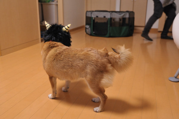 b0141397_0212641.jpg