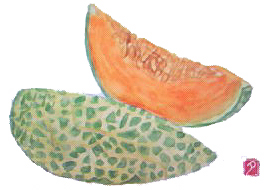 f0008597_1614130.jpg
